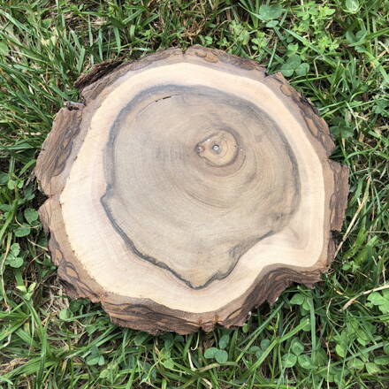 Podstavec drevený orechovy - 15cm